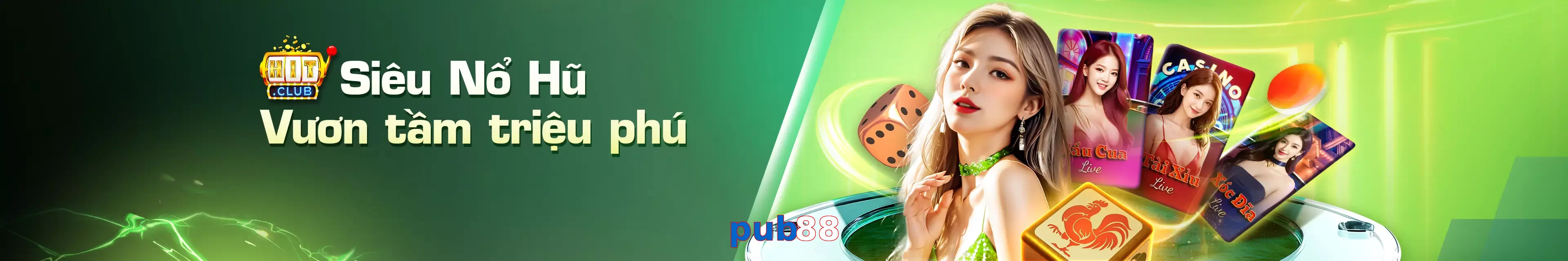 pub88